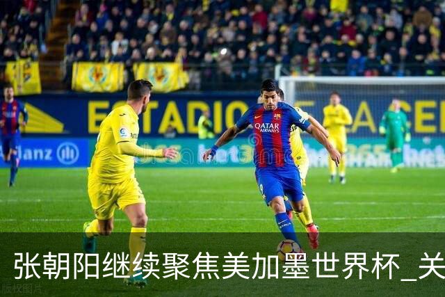 张朝阳继续聚焦美加墨世界杯 关注荷日大战解读日本队精神特质